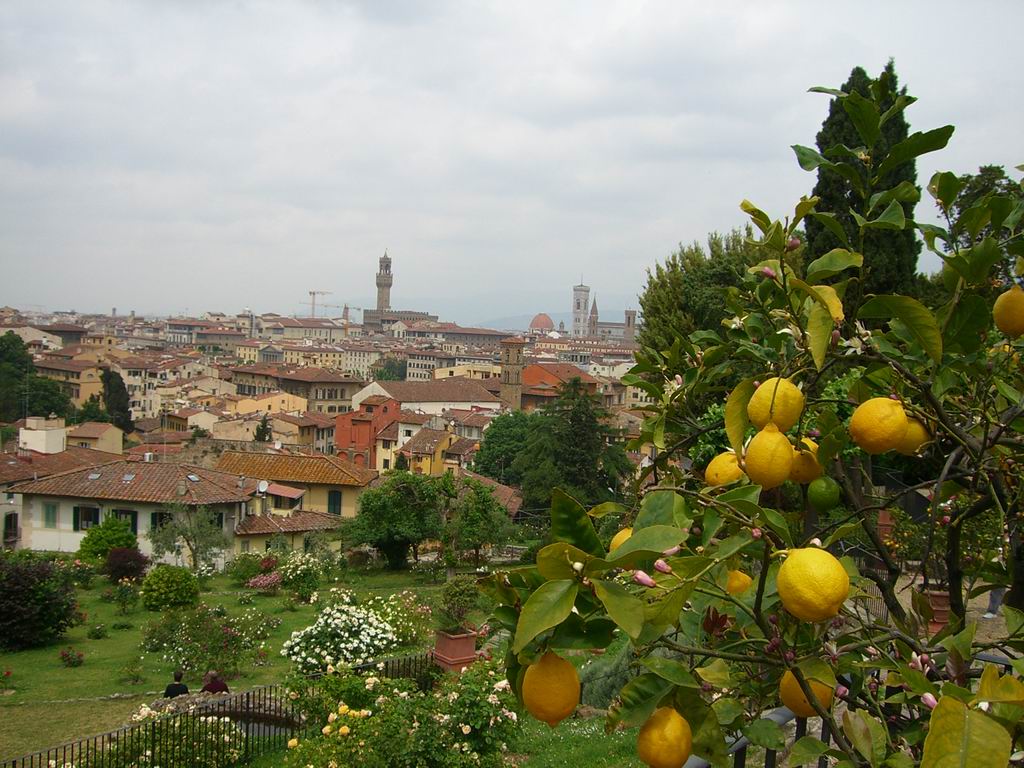 Firenze